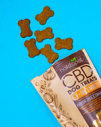 cbd dog treats